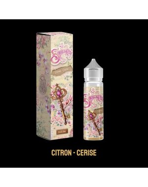 Al-Kimiya Singularités...