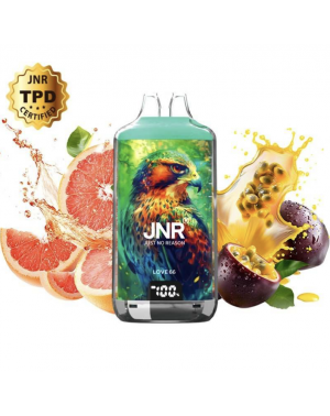 Puff JNR 28K Love 66 20mg...