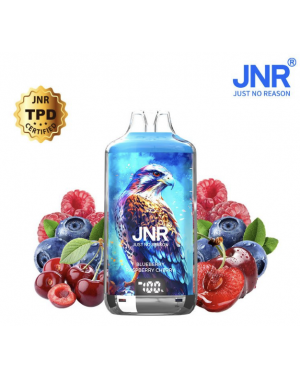 Puff JNR 28k Blueberry Sour...